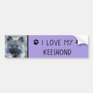 Keeshond and Columbine  - Dog Photograph Bumper Sticker