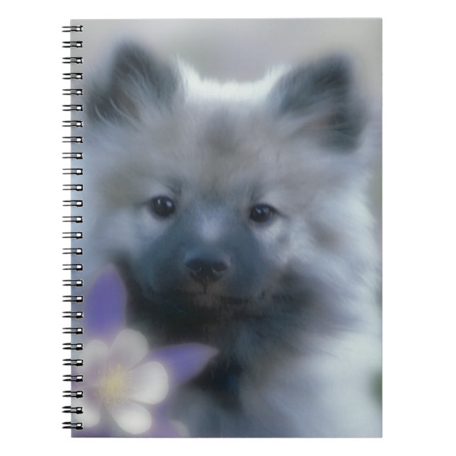 Keeshond and Columbine  - Dog Photograph Notebook (Front)