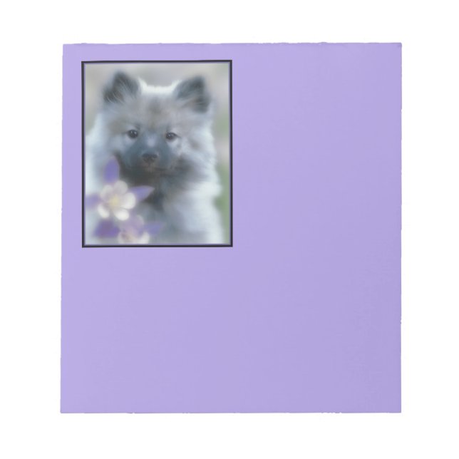 Keeshond and Columbine  - Dog Photograph Notepad (Front)