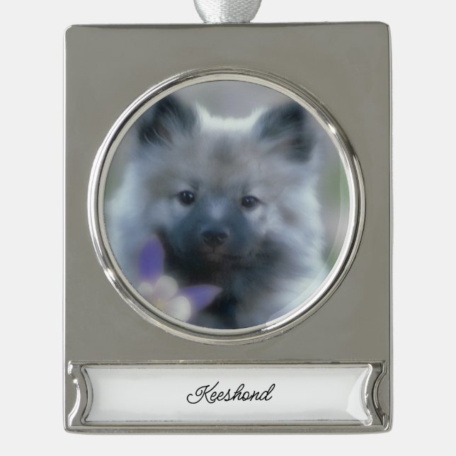 Keeshond and Columbine  - Dog Photograph Silver Plated Banner Ornament (Front)