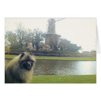 Keeshond and Windmill