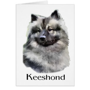 Keeshond Art Gifts