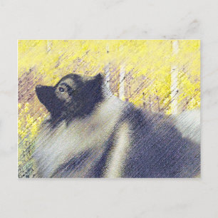 Keeshond Aspen Painting - Cute Original Dog Art Postcard