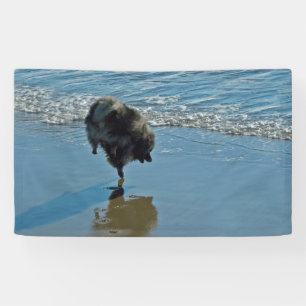 Keeshond Ballet Photograph - Cute Original Dog Art Banner