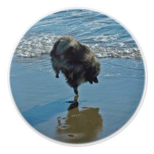 Keeshond Ballet Photograph - Cute Original Dog Art Ceramic Knob