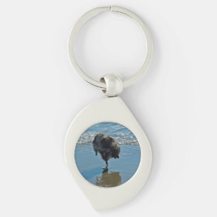 Keeshond Ballet Photograph - Cute Original Dog Art Key Ring