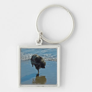 Keeshond Ballet Photograph - Cute Original Dog Art Key Ring