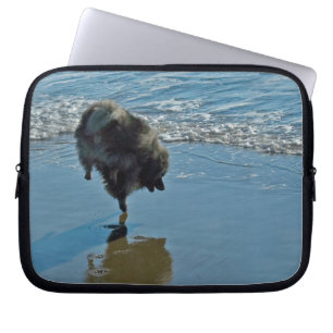 Keeshond Ballet Photograph - Cute Original Dog Art Laptop Sleeve
