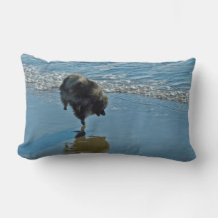 Keeshond Ballet Photograph - Cute Original Dog Art Lumbar Cushion