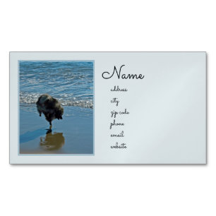 Keeshond Ballet Photograph - Cute Original Dog Art Magnetic Business Card