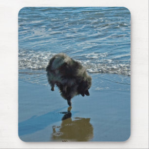 Keeshond Ballet Photograph - Cute Original Dog Art Mouse Pad