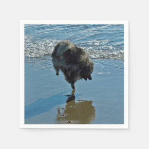 Keeshond Ballet Photograph - Cute Original Dog Art Napkin