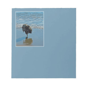 Keeshond Ballet Photograph - Cute Original Dog Art Notepad