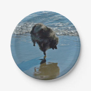 Keeshond Ballet Photograph - Cute Original Dog Art Paper Plate