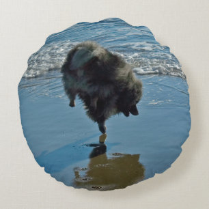 Keeshond Ballet Photograph - Cute Original Dog Art Round Cushion