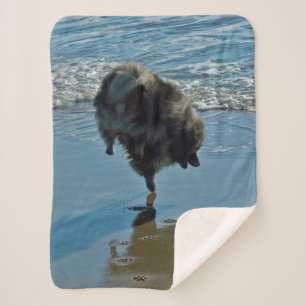 Keeshond Ballet Photograph - Cute Original Dog Art Sherpa Blanket
