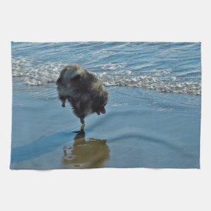 Keeshond Ballet Photograph - Cute Original Dog Art Tea Towel