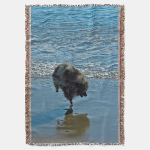Keeshond Ballet Photograph - Cute Original Dog Art Throw Blanket