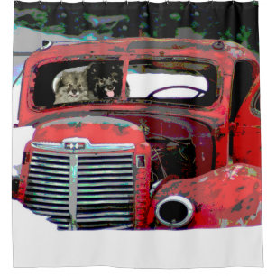 Keeshond Christmas Old Truck Painting Dog Art Shower Curtain
