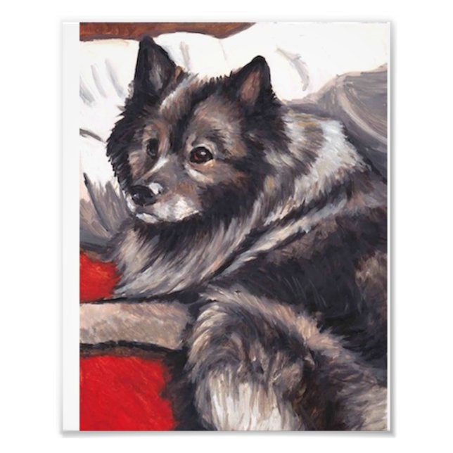 Keeshond Dog Art Print (Front)