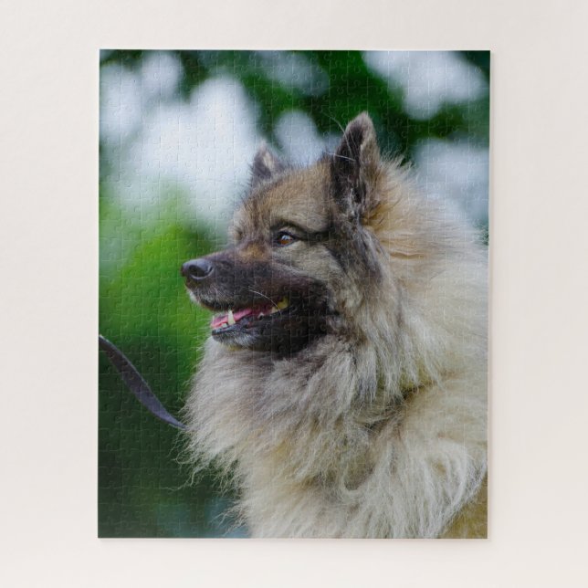 Keeshond Dog. Jigsaw Puzzle (Vertical)