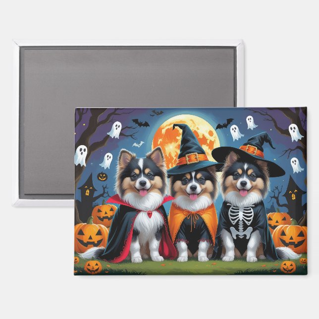 Keeshond Dogs Pumpkin Halloween Funny Magnet (Front/Back)