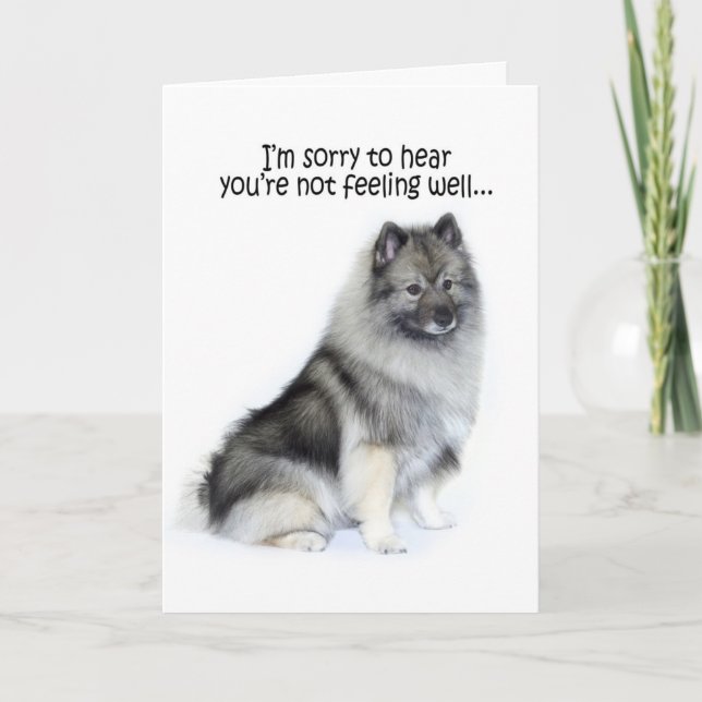 Keeshond Get Well Card (Front)