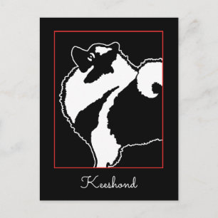 Keeshond Graphics - Cute Original Dog Art Postcard