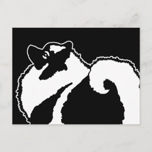 Keeshond Graphics - Cute Original Dog Art Postcard