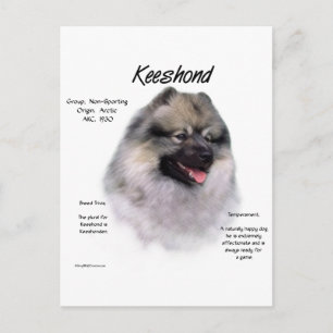 Keeshond History Design Postcard