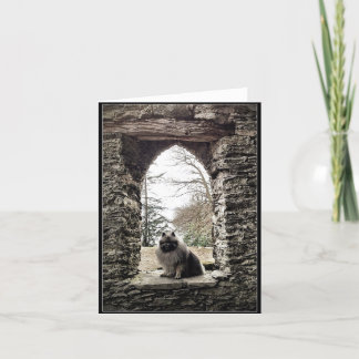 Keeshond in Stone Window Note Card