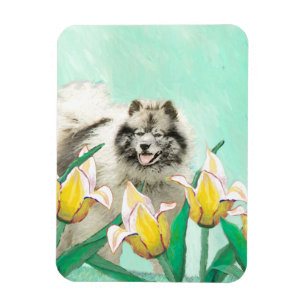 Keeshond in Tulips Painting Cute Original Dog Art Magnet