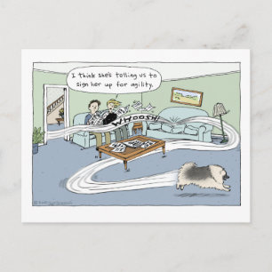 Keeshond "Livingroom Agility" Cartoon Postcard