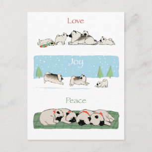 Keeshond Love Joy Peace   Cute Keesies Christmas Holiday Postcard