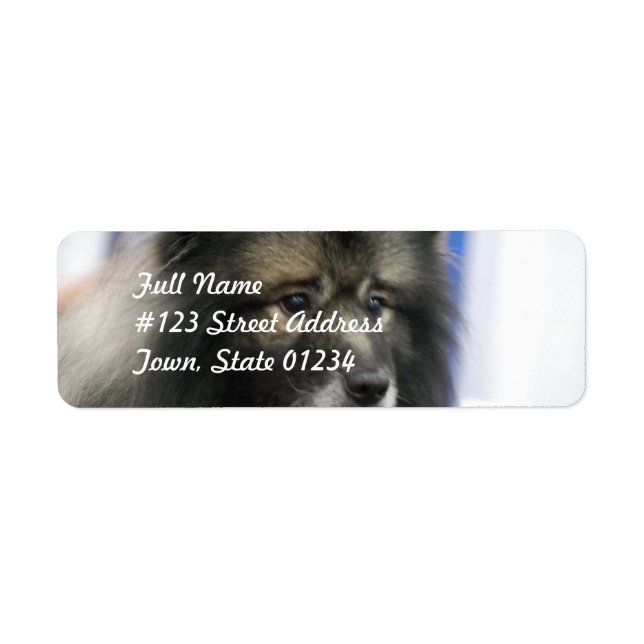 Keeshond Mailing Labels (Front)