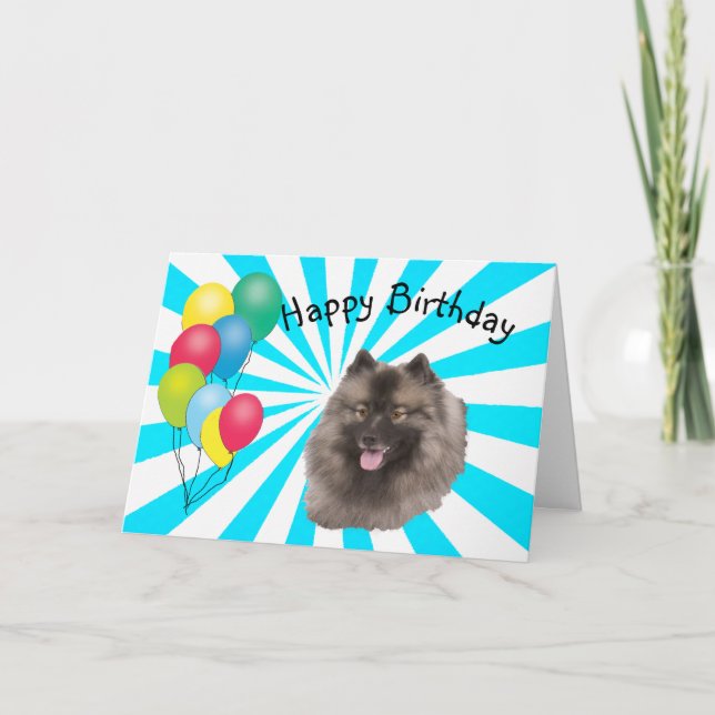 Keeshond on white Starburst Happy Birthday Card (Front)