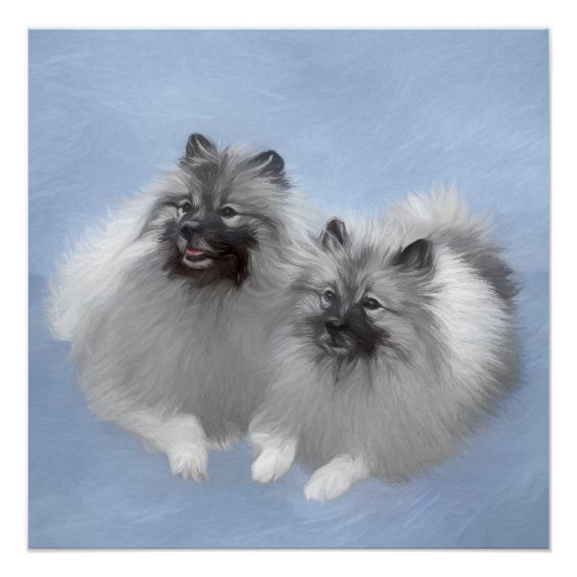 Keeshond Pair of Kees Painting Original Animal Art Poster (Front)