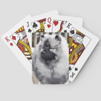 Keeshond Playing Cards