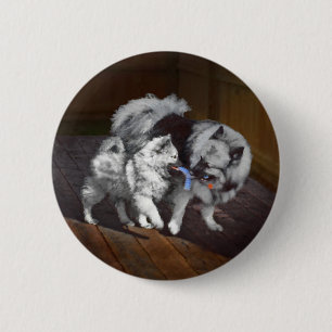 Keeshond Playtime Painting - Cute Original Dog Art 6 Cm Round Badge