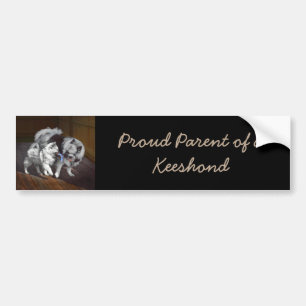 Keeshond Playtime Painting - Cute Original Dog Art Bumper Sticker