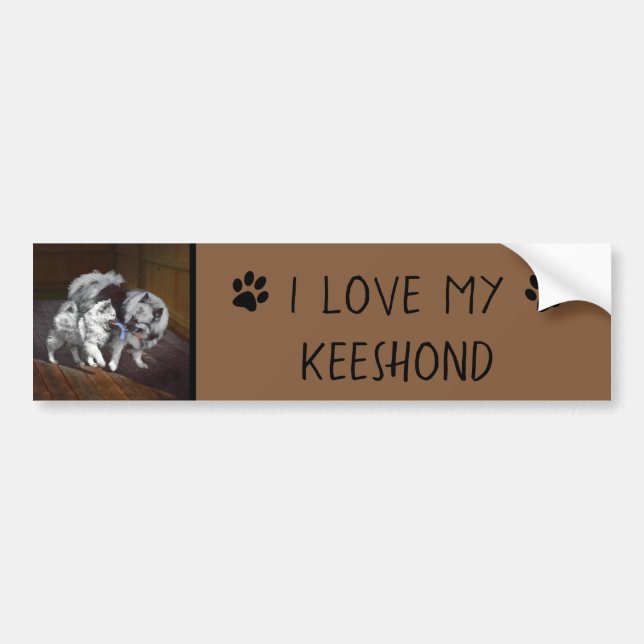 Keeshond Playtime Painting - Cute Original Dog Art Bumper Sticker (Front)