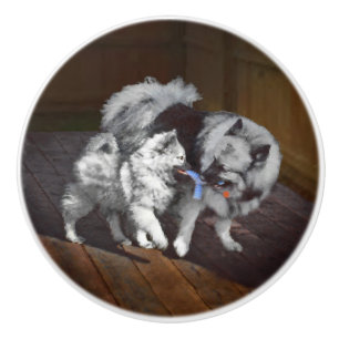 Keeshond Playtime Painting - Cute Original Dog Art Ceramic Knob