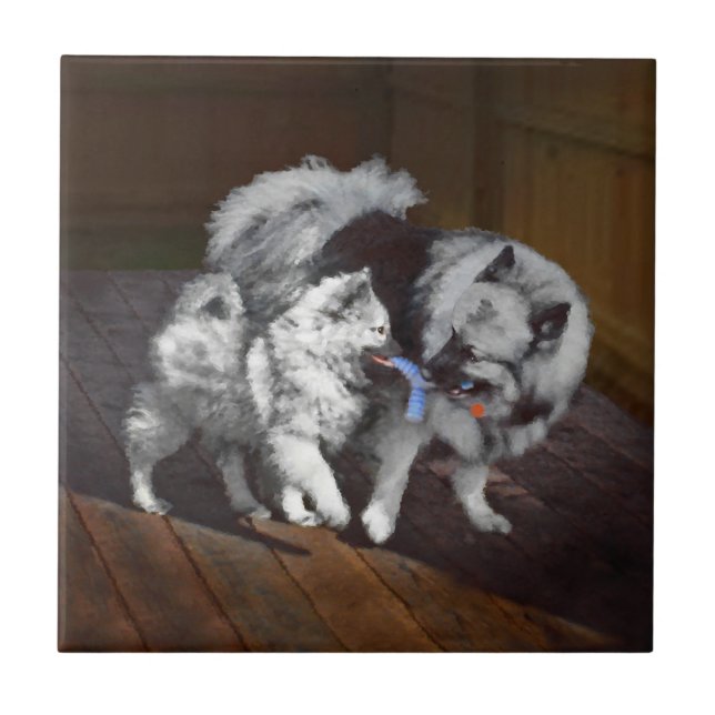 Keeshond Playtime Painting - Cute Original Dog Art Ceramic Tile (Front)