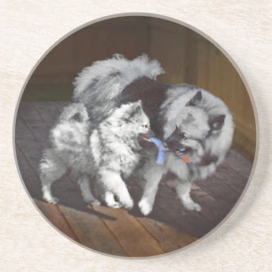 Keeshond Playtime Painting - Cute Original Dog Art Coaster