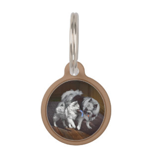 Keeshond Playtime Painting - Cute Original Dog Art Pet Tag