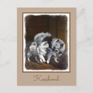Keeshond Playtime Painting - Cute Original Dog Art Postcard