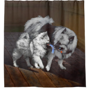 Keeshond Playtime Painting - Cute Original Dog Art Shower Curtain