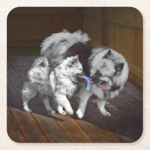 Keeshond Playtime Painting - Cute Original Dog Art Square Paper Coaster