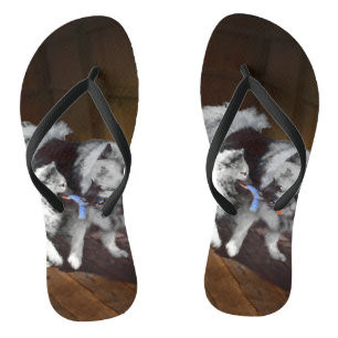 Keeshond Playtime Painting - Cute Original Dog Art Thongs
