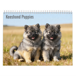 Keeshond Puppies 2027 Wall calendar